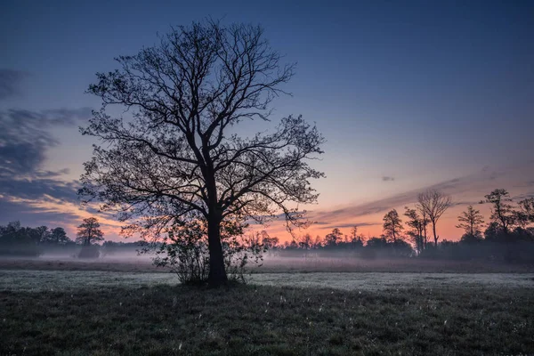 Valle del río Jeziorka en primavera cerca de Piaseczno, Masovia , —  Fotos de Stock