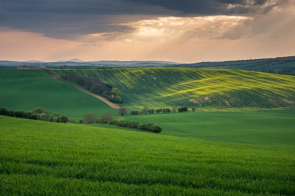 Campos morávios na primavera perto da aldeia de Svatoborice, Hodonin, Cze — Fotografia de Stock