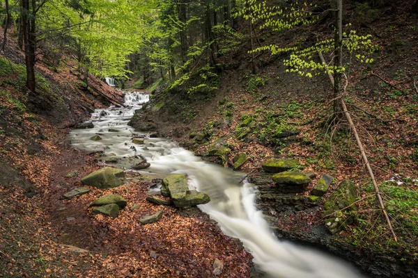 Beskid Zywiecki'de Mosorny çayı, Malopolskie, Polonya