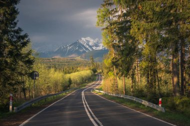Road in Tatra mountains, Polonya
