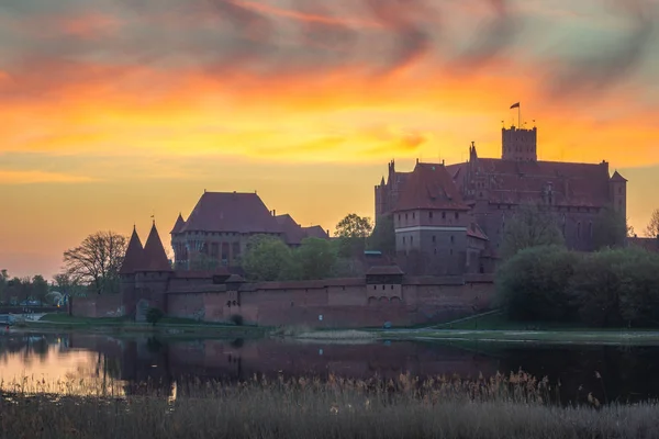 Château teutonique à Malbork, Pomorskie, Pologne — Photo