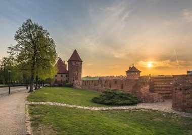 Germen kalede Malbork, Pomorskie, Polonya