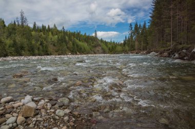 Jurgow, Malopolskie, Polonya yakınındaki Bialka Nehri