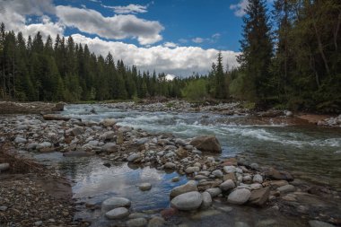 Jurgow, Malopolskie, Polonya yakınındaki Bialka Nehri