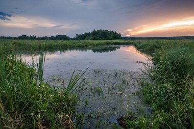 Sulejow yakınlarındaki durgun Luciaza nehri üzerinde gün doğumu, Lodzkie,