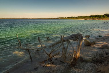 Osadnik Gajowka adlı Azure gölü, Polonya'nın Psary köyü yakınlarında