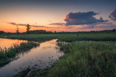 Kamion yakınlarındaki Bzura nehri üzerinde gün batımı, Masovia, Polonya