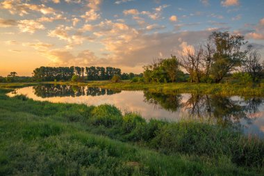 Kamion yakınlarındaki Bzura nehri üzerinde gün batımı, Masovia, Polonya