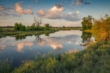 Kamion yakınlarındaki Bzura nehri üzerinde gün batımı, Masovia, Polonya