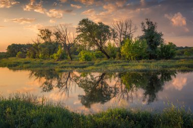 Kamion yakınlarındaki Bzura nehri üzerinde gün batımı, Masovia, Polonya