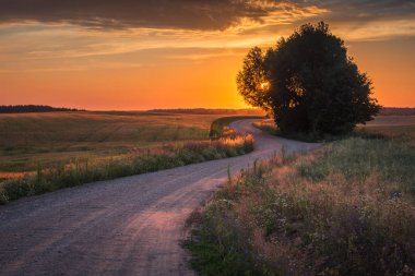 Banie Mazurs yakınlarında gün batımı sırasında yalnız bir ağaç ile Masurian yol