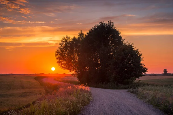 Camino masuriano con un árbol solitario al atardecer cerca de Banie Mazurs — Foto de Stock