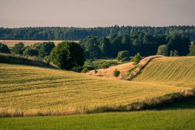 Banie Mazurskie, Masuria, Polan yakınlarındaki Masurian çayırları ve tarlaları