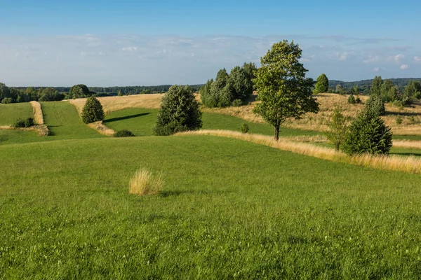 Banie Mazurskie, Masuria, Polan yakınlarındaki Masurian çayırları ve tarlaları