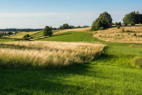 Banie Mazurskie, Masuria, Polan yakınlarındaki Masurian çayırları ve tarlaları