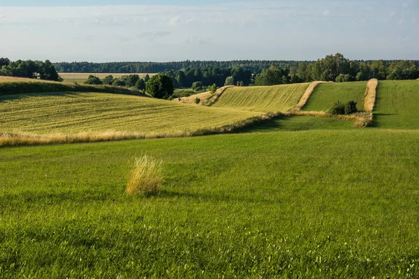 Banie Mazurskie, Masuria, Polan yakınlarındaki Masurian çayırları ve tarlaları