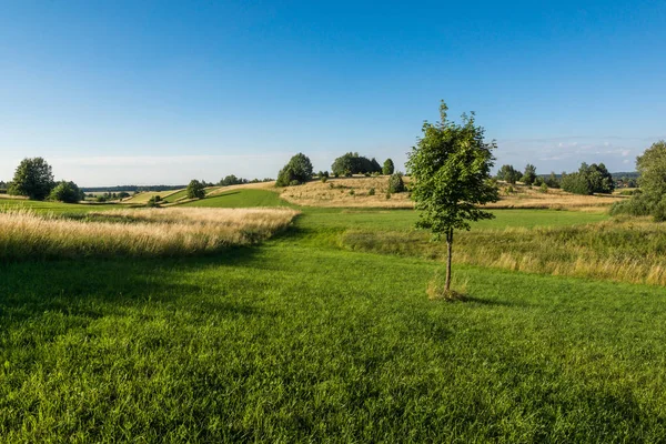 Banie Mazurskie, Masuria, Polan yakınlarındaki Masurian çayırları ve tarlaları