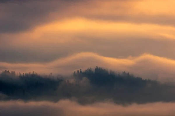 Туманное утро в горах Татр, Закопане, Польша — стоковое фото