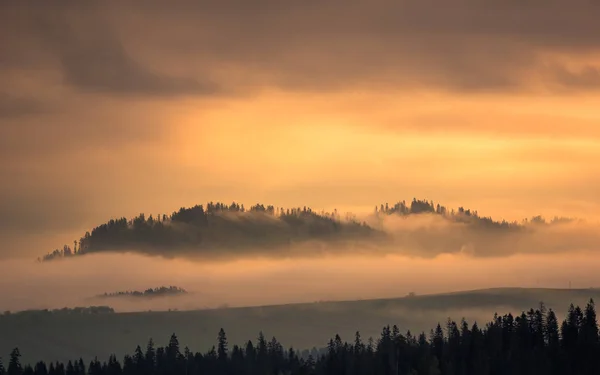 Туманное утро в горах Татр, Закопане, Польша — стоковое фото