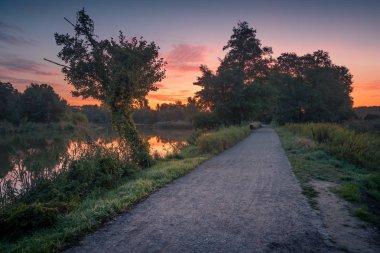 Zalesie Dolne, Piaseczno, Polonya'da yolun üzerinde Şafak