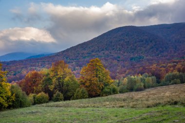 Sonbaharda Bieszczady dağlarında Rawka Dağı, Podkarpackie, Pol