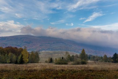 Polonina Carynska sonbaharda Bieszczady dağlarda, Podkarpacki