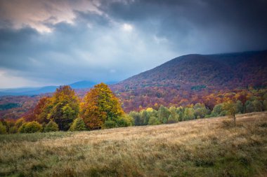 Sonbaharda Bieszczady dağlarında Rawka Dağı, Podkarpackie, Pol