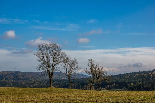 Paisagem com árvores em um prado em algum lugar em Bieszczady, Polônia — Fotografia de Stock