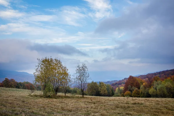Landscape with autumn season in Bieszczady mountains, Podkarpack