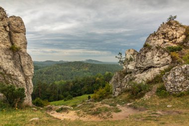 Mount Zborow - Jura Krakowsko-Czestochowska, S Rocky tepe