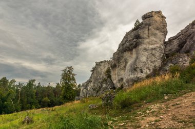 Mount Zborow - Jura Krakowsko-Czestochowska, S Rocky tepe