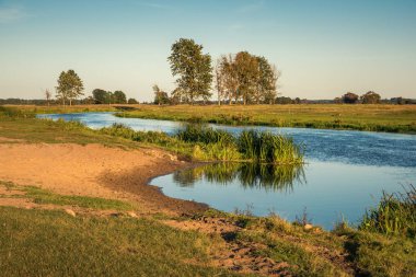 Sonbaharda gün batımında Narew nehri, Podlaskie, Polonya