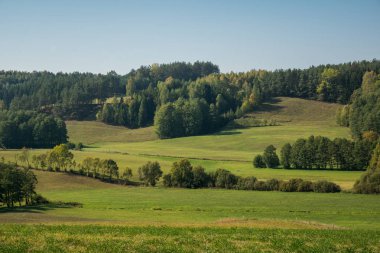 Suwalski manzarasında sonbahar manzarası, tepeler ve ağaçlar