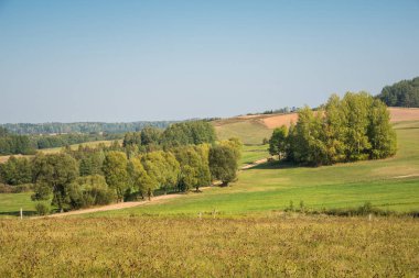 Suwalski manzarasında sonbahar manzarası, tepeler ve ağaçlar