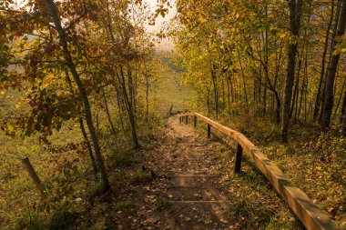 Suwalski peyzaj parkında güzel bir sonbahar sabahı, 