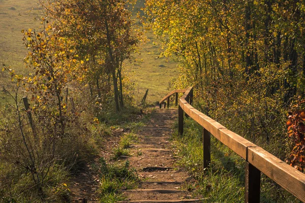 Μονοπάτι σε ένα όμορφο πρωινό του φθινοπώρου στο πάρκο τοπίο Suwalski, — Φωτογραφία Αρχείου