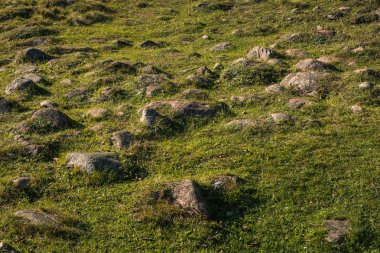 Glazowisko Bachanowo - meadow covered with boulders in Suwalski 