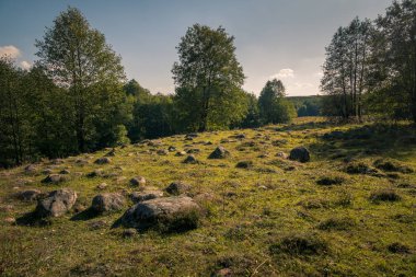 Glazowisko Bachanowo - meadow covered with boulders in Suwalski 