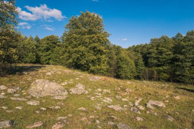 Glazowisko Bachanowo - meadow covered with boulders in Suwalski 