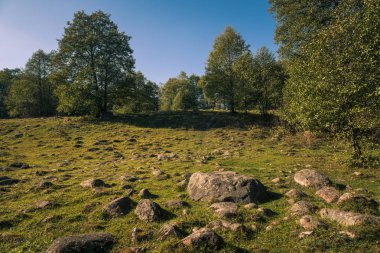 Glazowisko Bachanowo - meadow covered with boulders in Suwalski 