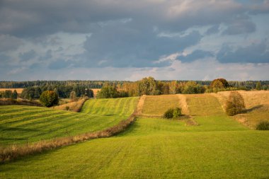 Sonbaharda Masurian çayırları Banie Mazurskie, Masuria, Polonya yakınlarında