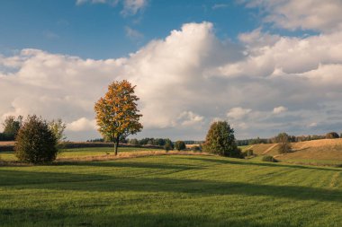Sonbaharda Masurian çayırları Banie Mazurskie, Masuria, Polonya yakınlarında