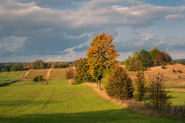 Mazurskie łąki jesienią niedaleko Banie Mazurskie, Polska — Zdjęcie stockowe