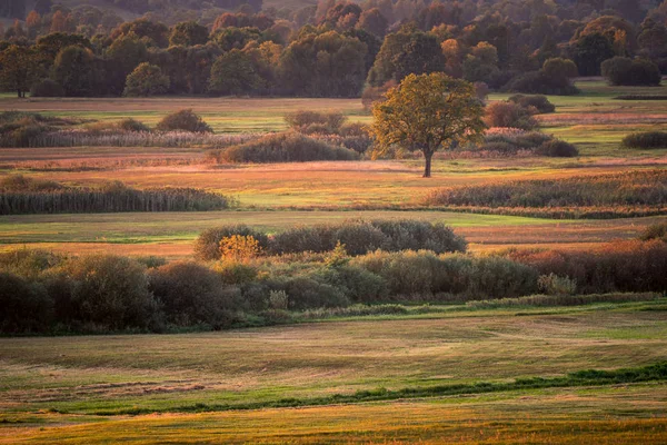 Näkymä Gora Strekowalta pelloilla ja puissa syksyllä, Podla — kuvapankkivalokuva