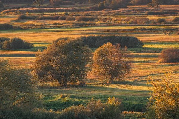 Kilátás Gora Strekowa a mezők és fák ősszel, Podla — Stock Fotó