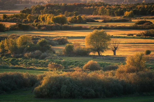 Blick von gora strekowa auf die Felder und Bäume im Herbst, podla — Stockfoto