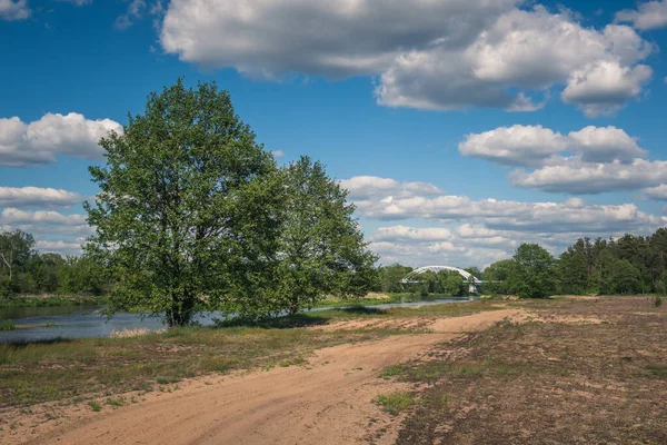 Río Pilica Hermoso Día Soleado Cerca Gapinin Lodzkie Polonia —  Fotos de Stock