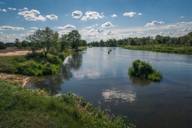 Pilica nehri Gapinin, Lodzkie, Polonya yakınlarında güneşli bir günde