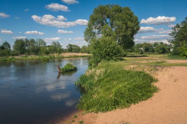 Pilica nehri Gapinin, Lodzkie, Polonya yakınlarında güneşli bir günde
