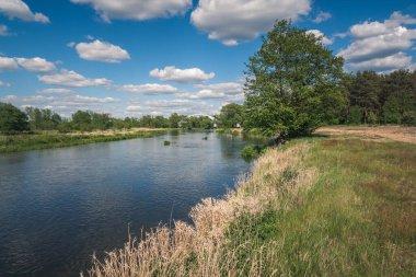 Pilica nehri Gapinin, Lodzkie, Polonya yakınlarında güneşli bir günde